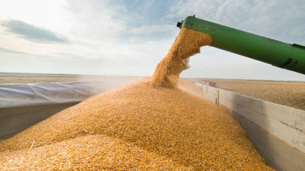 САЩ: Русия веднага да отпуши украинските пристанища за износ на зърн